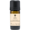 Eucalyptus citronné bio - Huile essentielle - 10ml - Scentalya