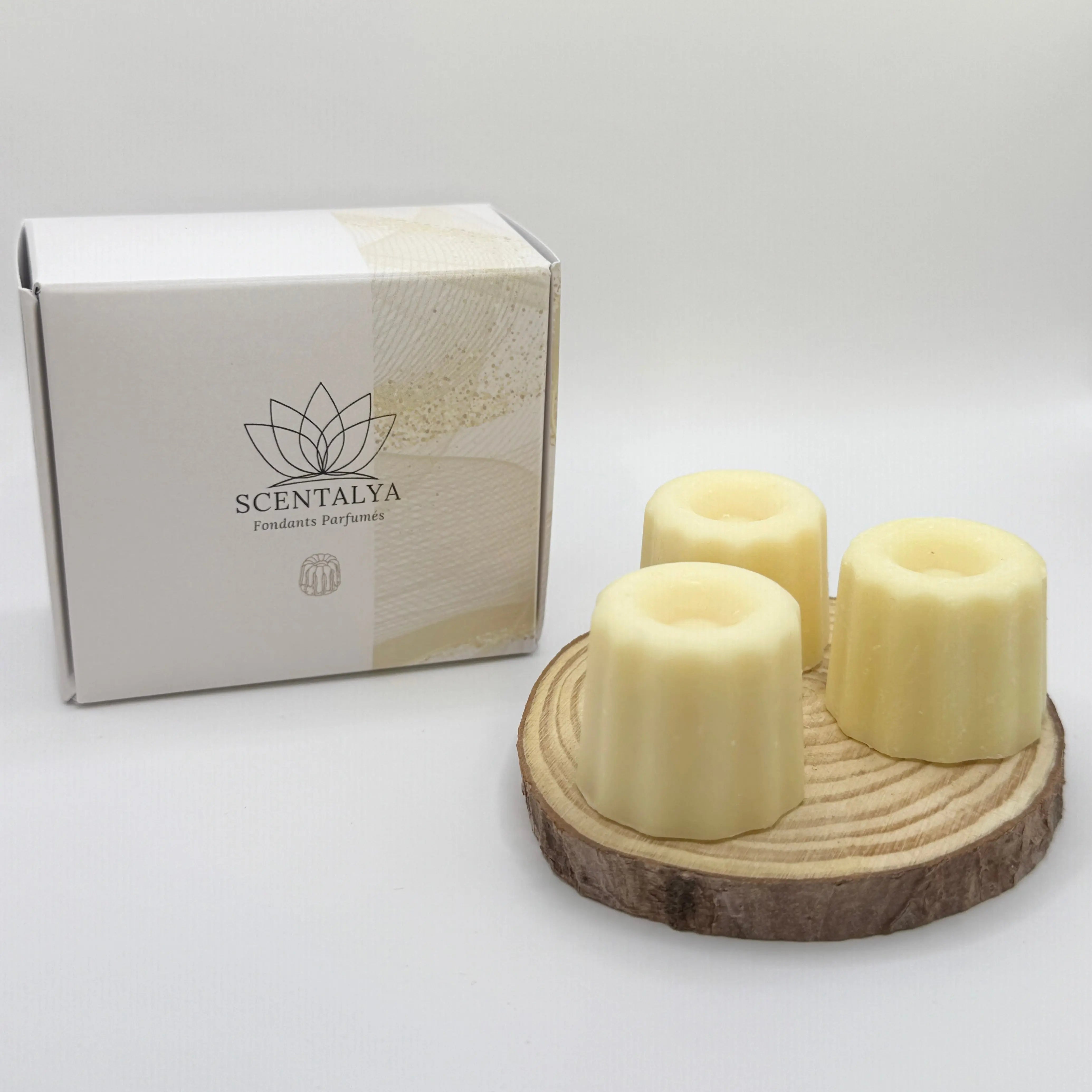 Lot de 3 Fondants Cannelés parfumés Citron Meringué Scentalya