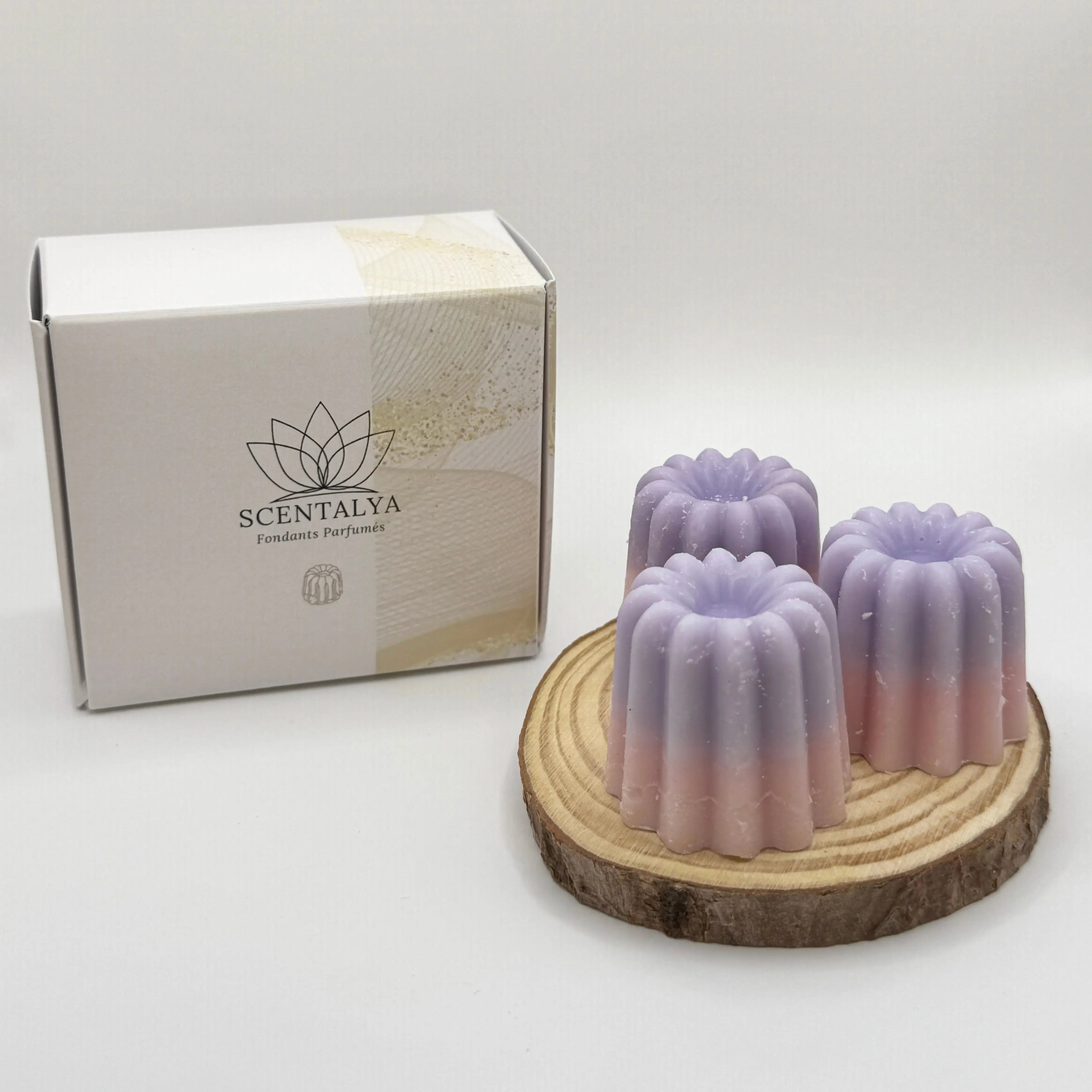 Lot de 3 Fondants Cannelés parfumés Clémentine Monoï Scentalya