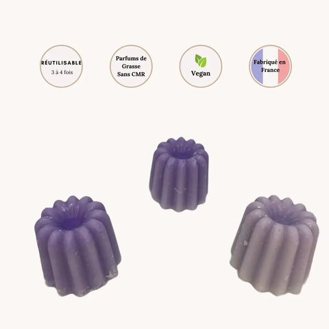 Lot de 3 Fondants Cannelés parfumés Figue et Santal Scentalya