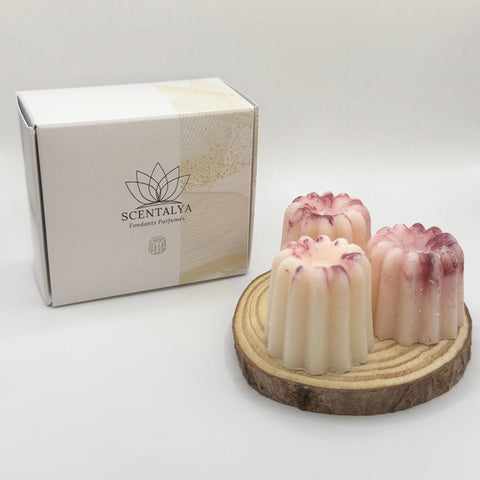 Lot de 3 Fondants Cannelés parfumés Framboise Scentalya