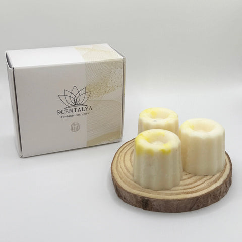 Lot de 3 Fondants Cannelés parfumés Frangipanier Jasmin Scentalya