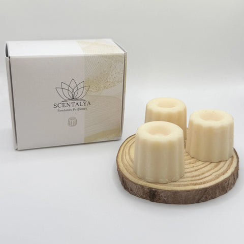 Lot de 3 Fondants Cannelés parfumés Vanille Scentalya