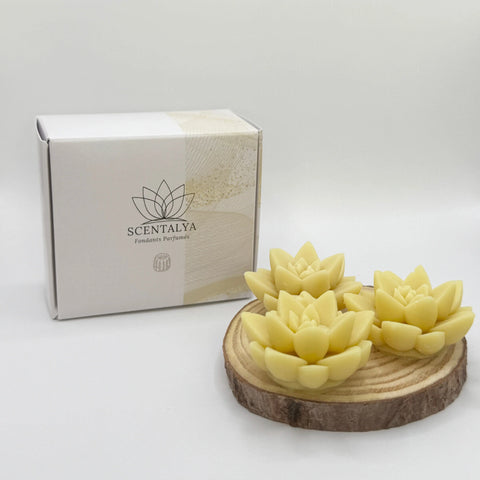 Lot de 3 Fondants Fleurs parfumées Frangipanier Scentalya