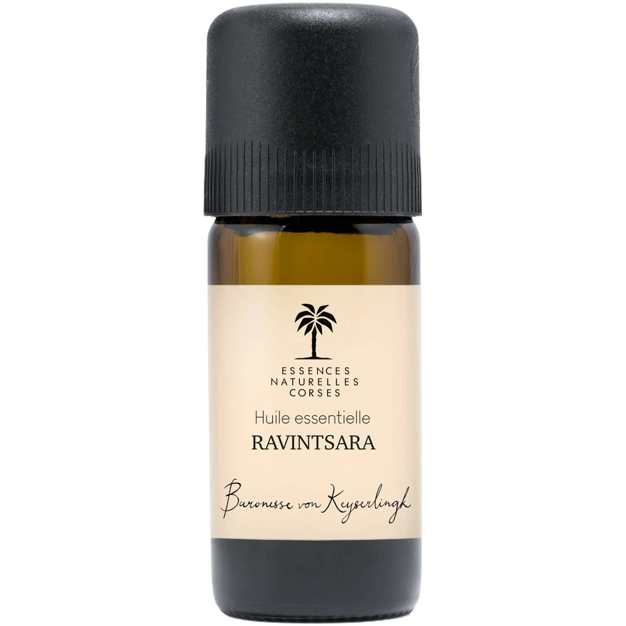 Ravintsara bio - Huile essentielle - 10ml - Scentalya
